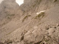 Regina-F-Rau_2013-08-15_Frohkostgipfel  (066).JPG
